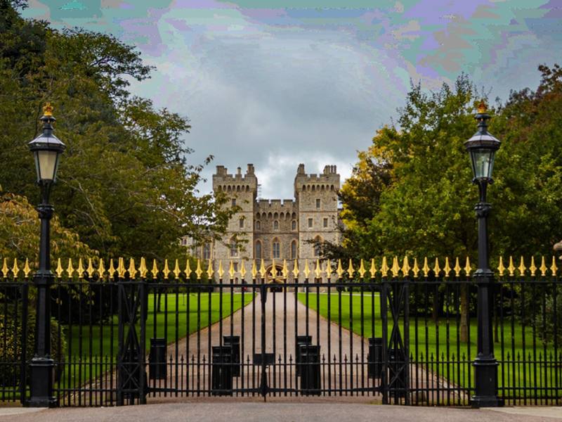 Fencing solutions for Sydney homes