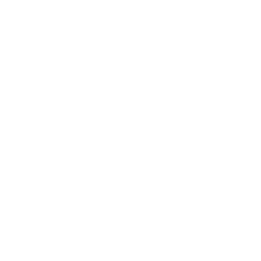 Auto Gates